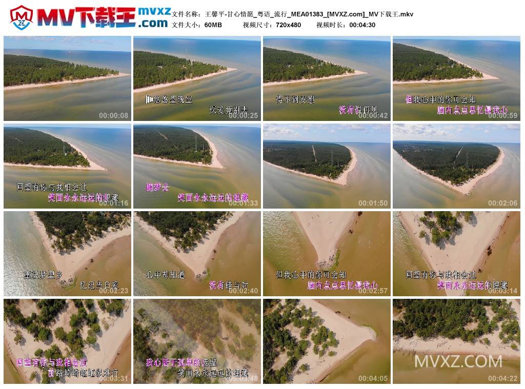 王馨平-甘心情愿_粤语_流行_MEA01383